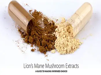 Lion’s Mane Mushroom Extract Powder – Market Growth & Emerging Trends in Adaptogens
